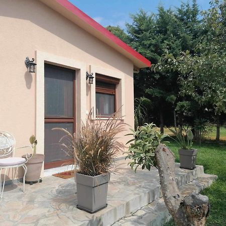 הוילה ניאה סקיוני Tiny House By The Sea מראה חיצוני תמונה