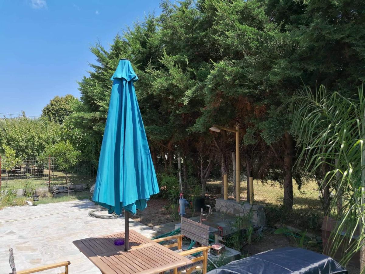 הוילה ניאה סקיוני Tiny House By The Sea מראה חיצוני תמונה