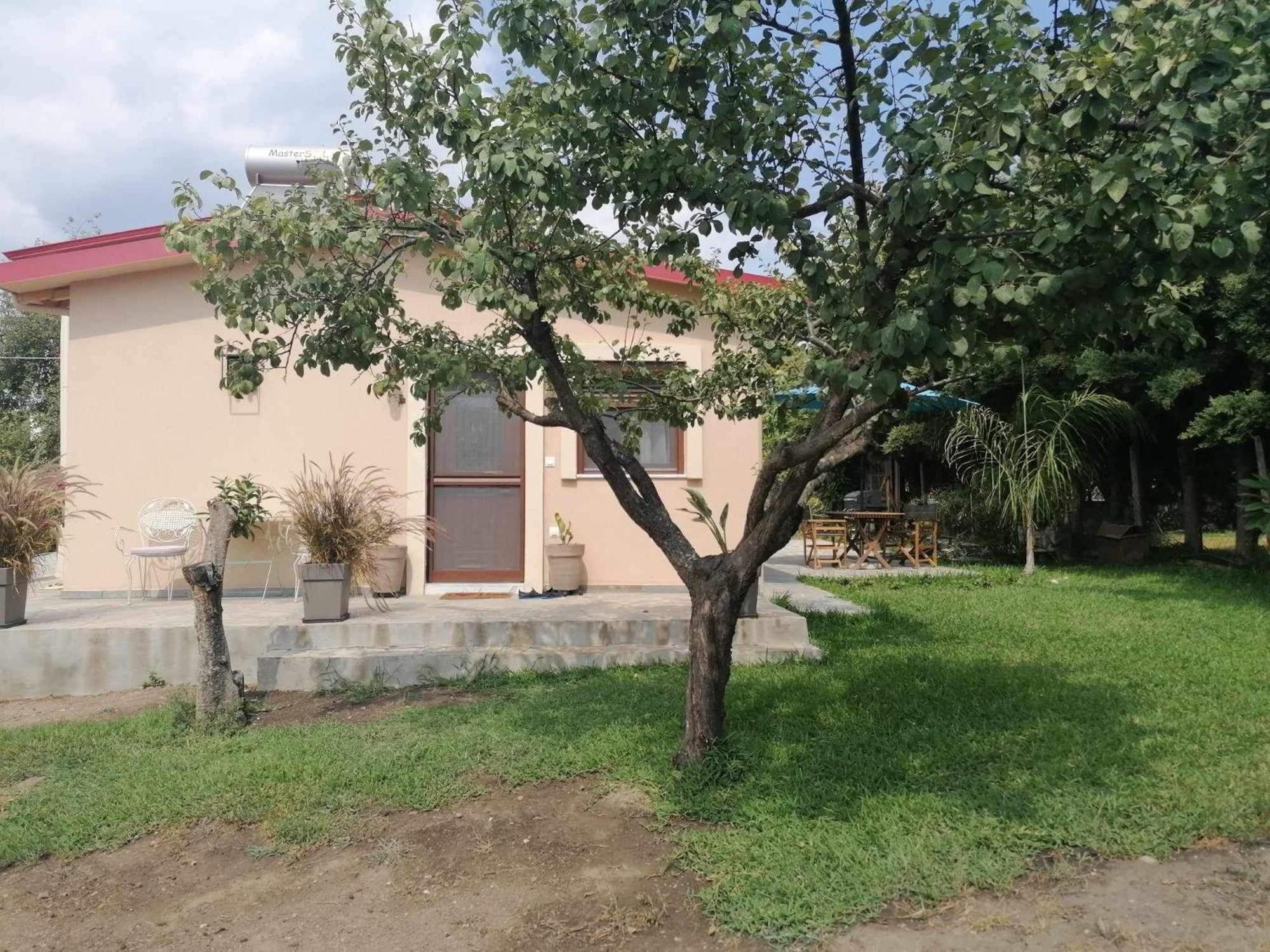 הוילה ניאה סקיוני Tiny House By The Sea מראה חיצוני תמונה